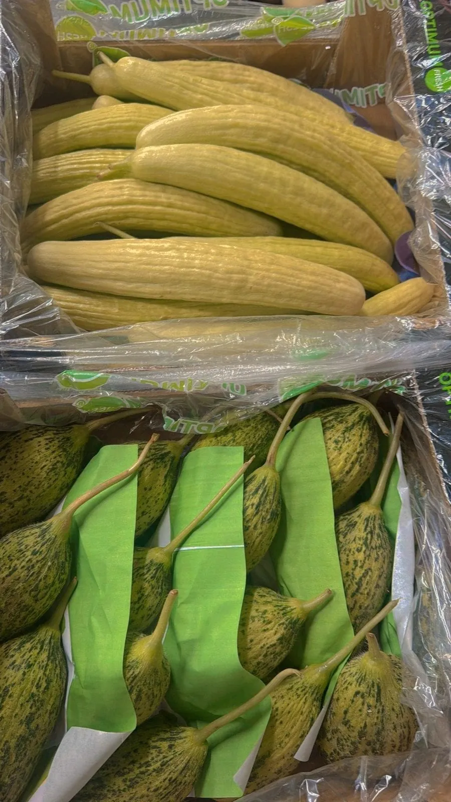 Best Fresh Food AS
