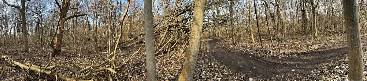 Kyst og natur i Tønsberg-området