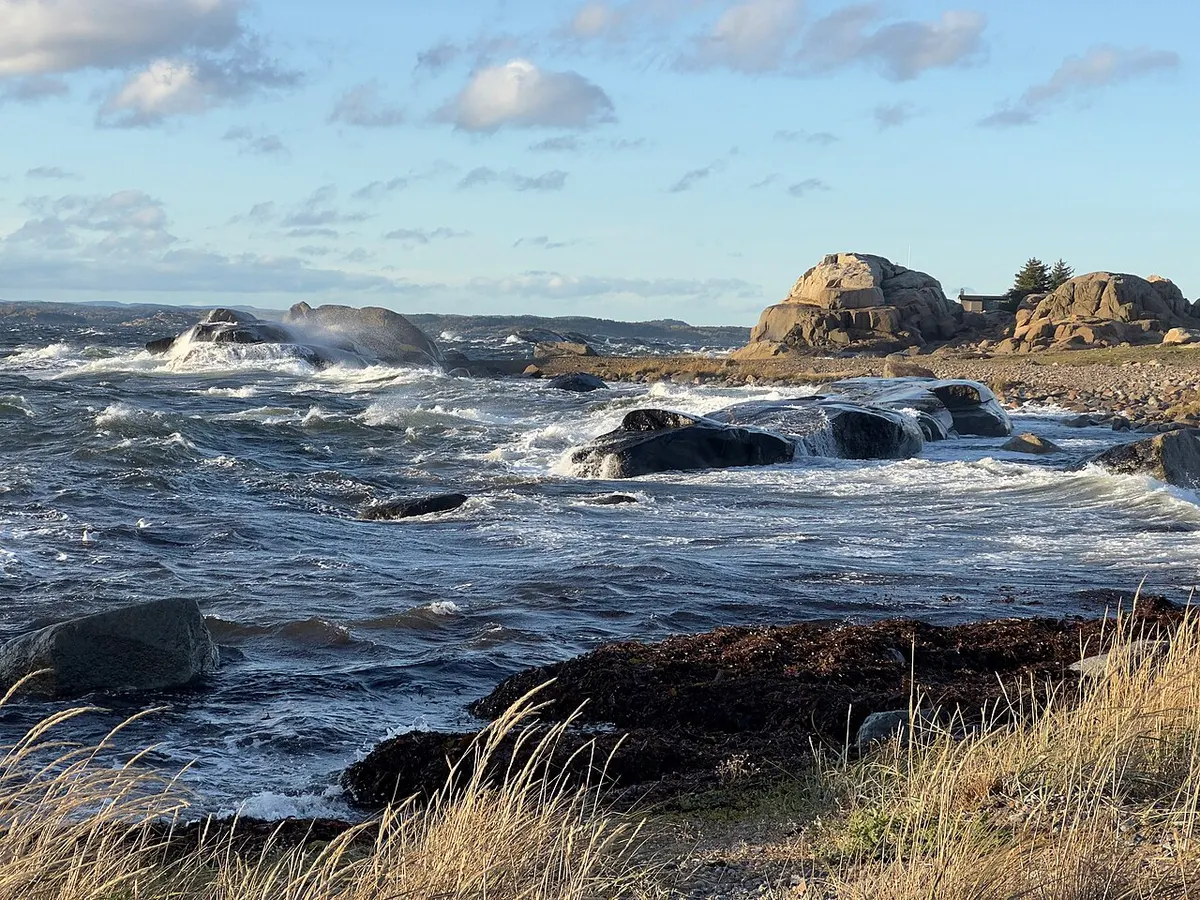 Kyst og natur i Tønsberg-området
