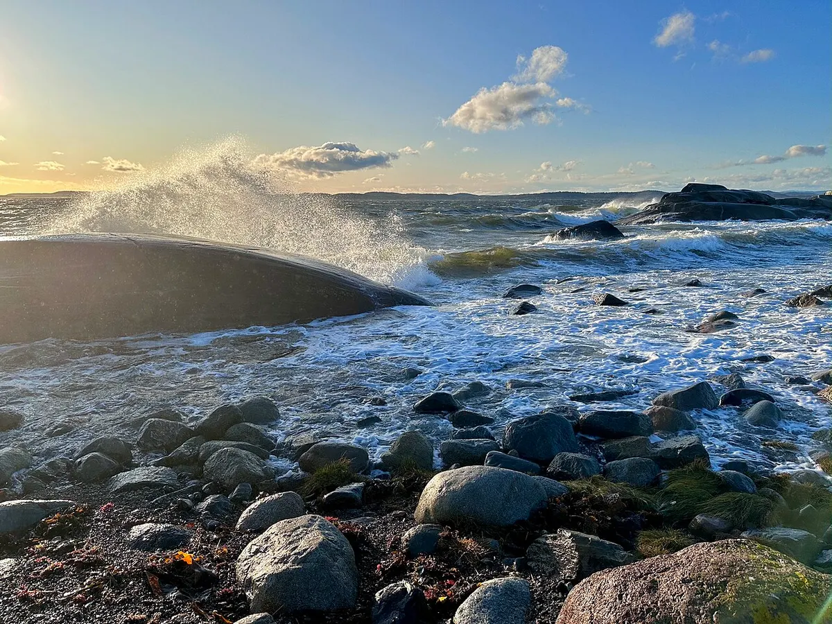 Kyst og natur i Tønsberg-området