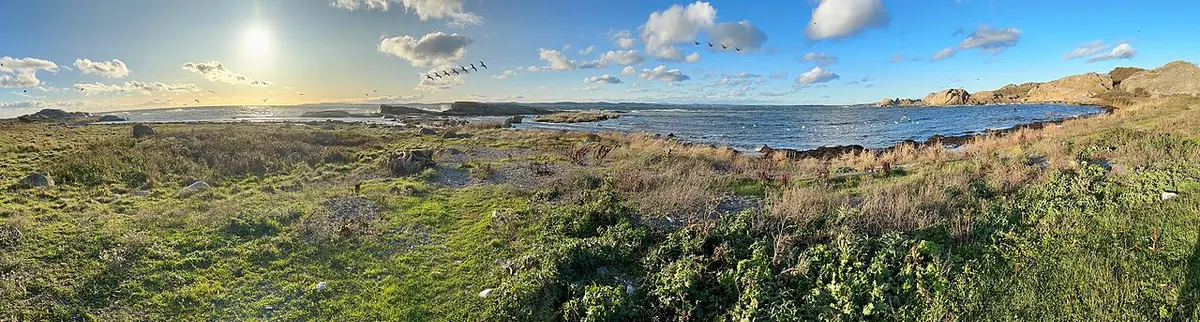 Kyst og natur i Tønsberg-området