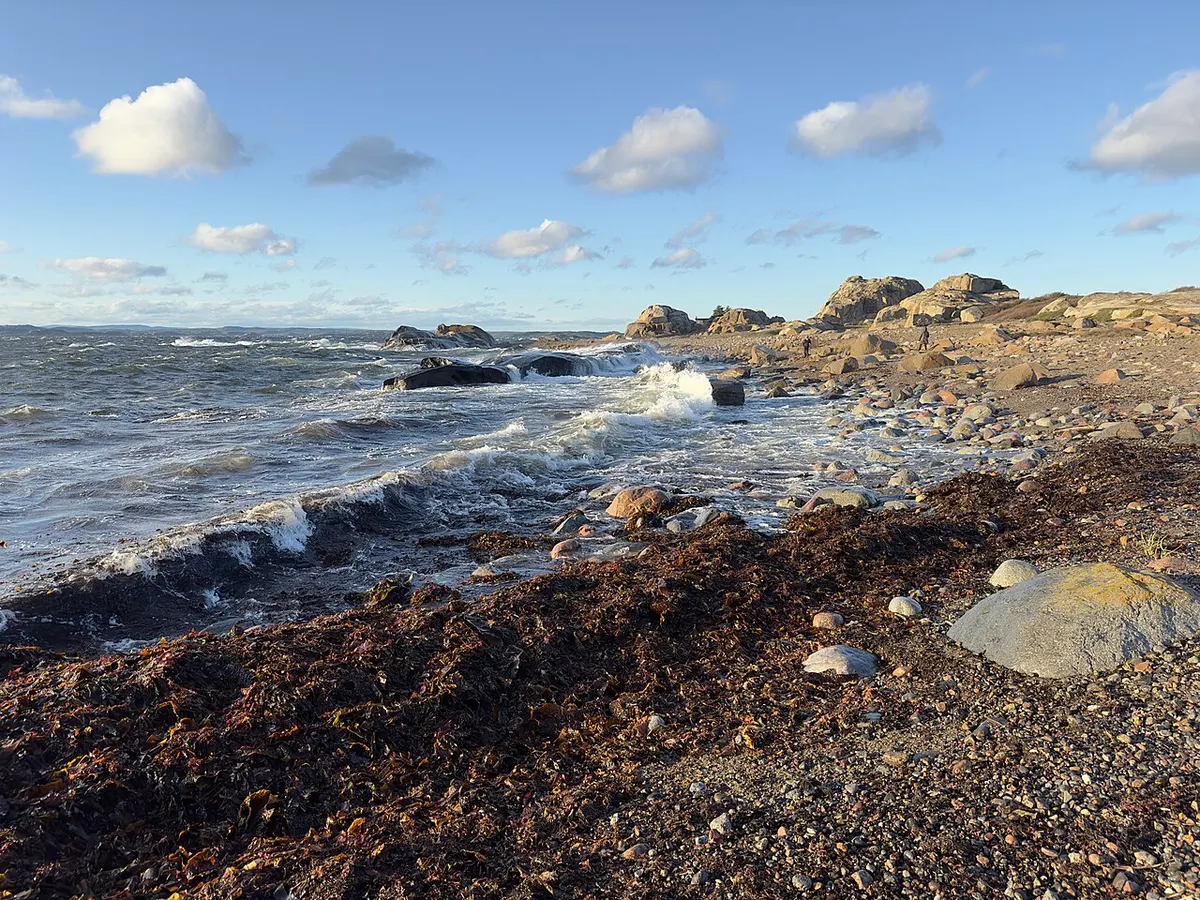 Kyst og natur i Tønsberg-området