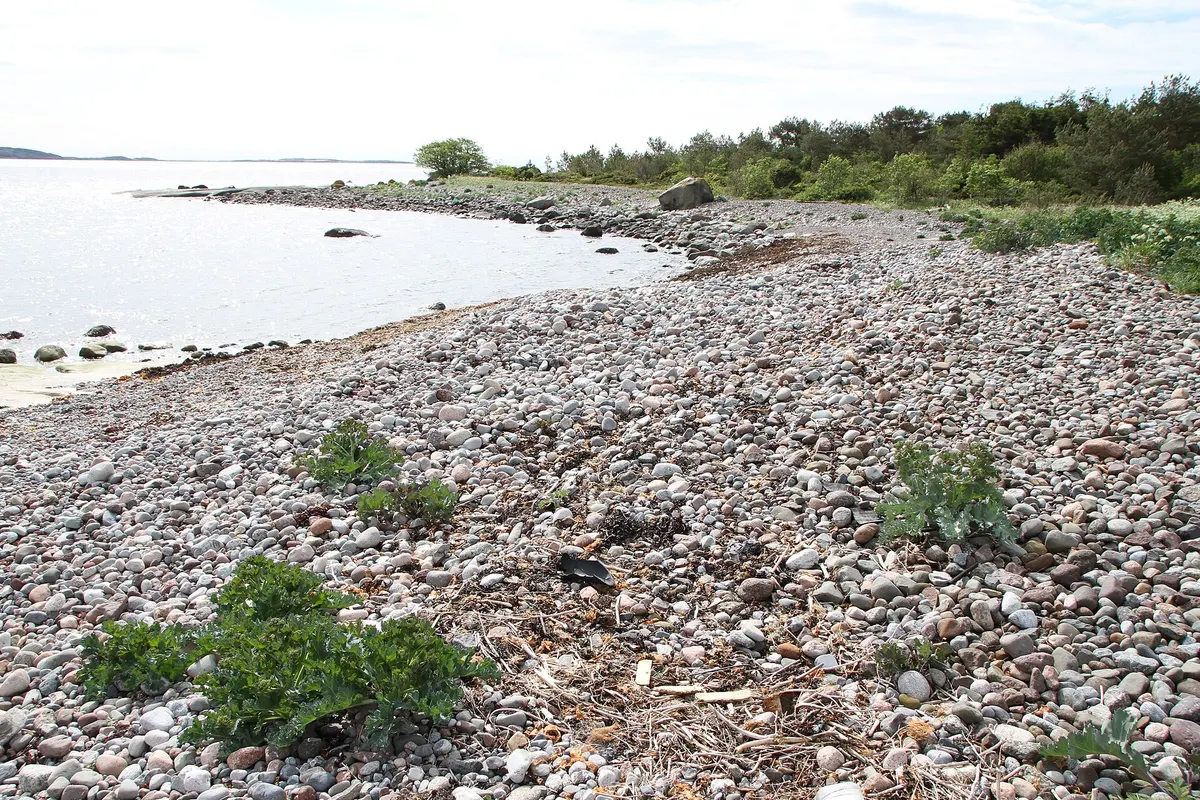 Kyst og natur i Tønsberg-området